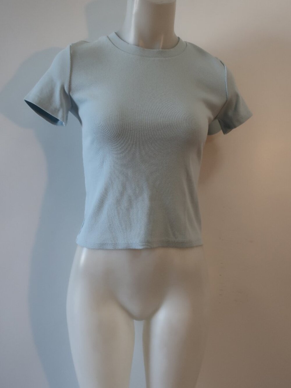 NWT Womens PerfectWhiteTee Blue Ribbed T-Shirt S